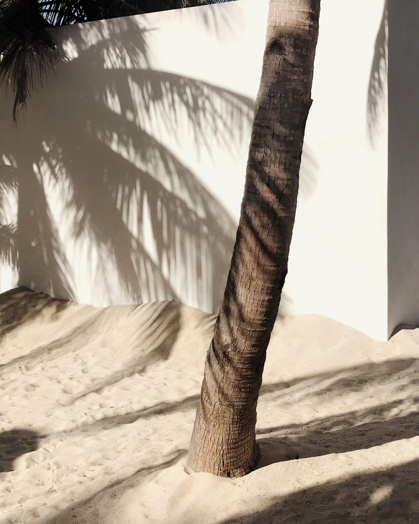 THE BREEZE COLLECTION - Switch-Fashion